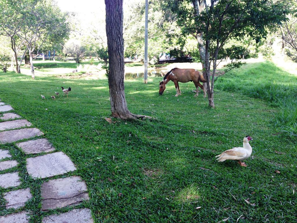 Aguas Vivas Hotel Fazenda Pirenópolis Kültér fotó